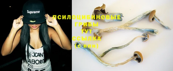 ешки Белокуриха