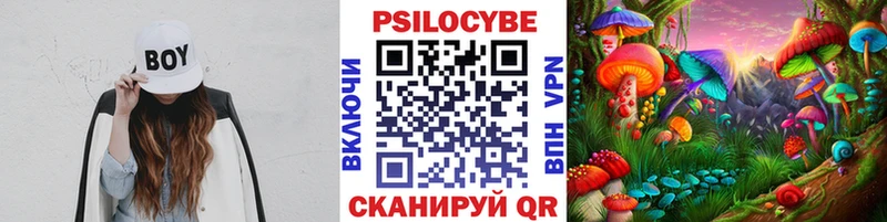 Псилоцибиновые грибы мицелий  Белогорск 